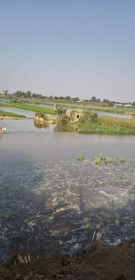 غرق محصول قرية الصواف بالبحيرة 