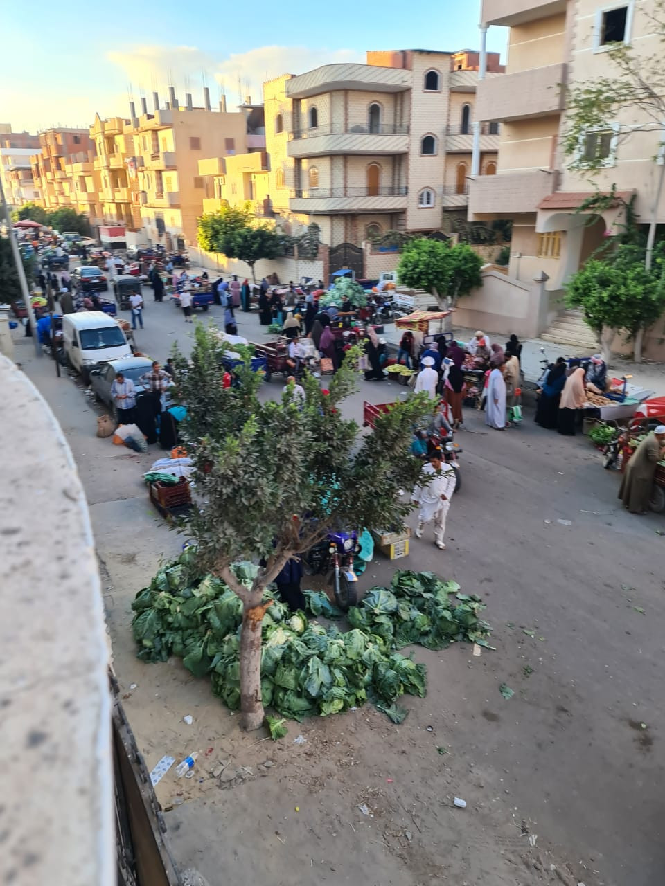 السوق العشوائي بمدينة النوبارية الجديدة 