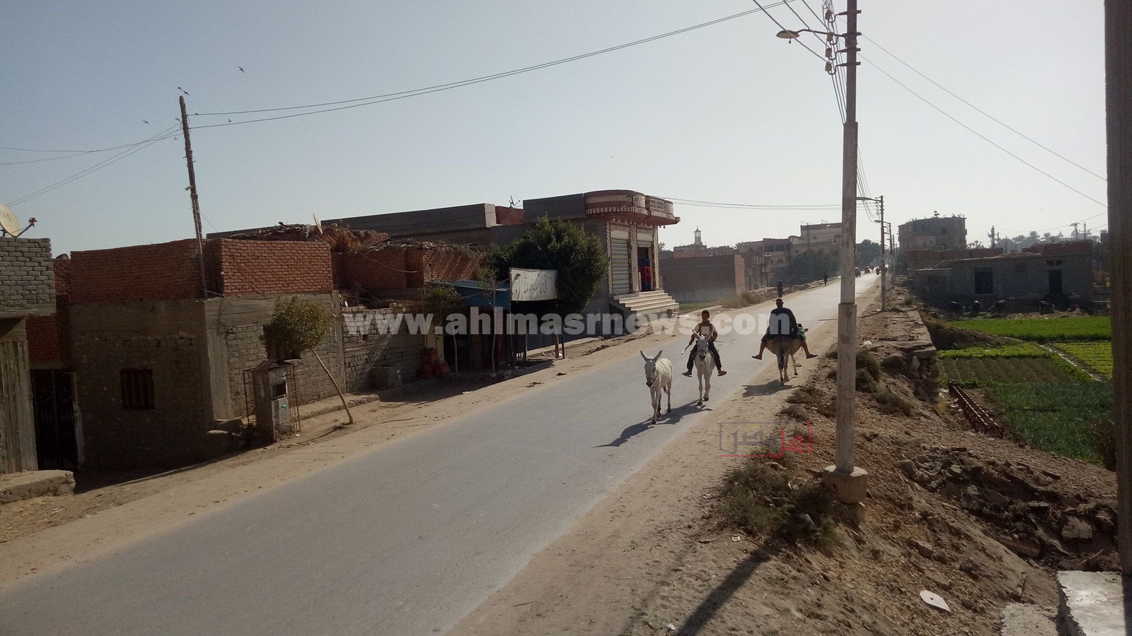 طريق معصرة صاوي بالفيوم