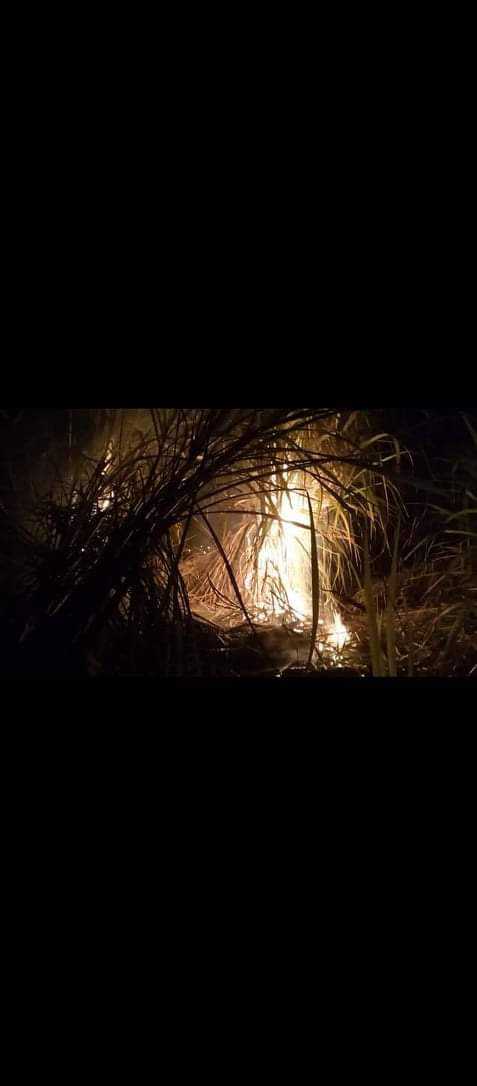 حريق بزراعات القصب في قنا