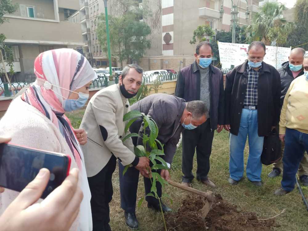 حملة تشجير وغرز شتلات مثمرة بالشوارع والميادين بمحافظة أسيوط 