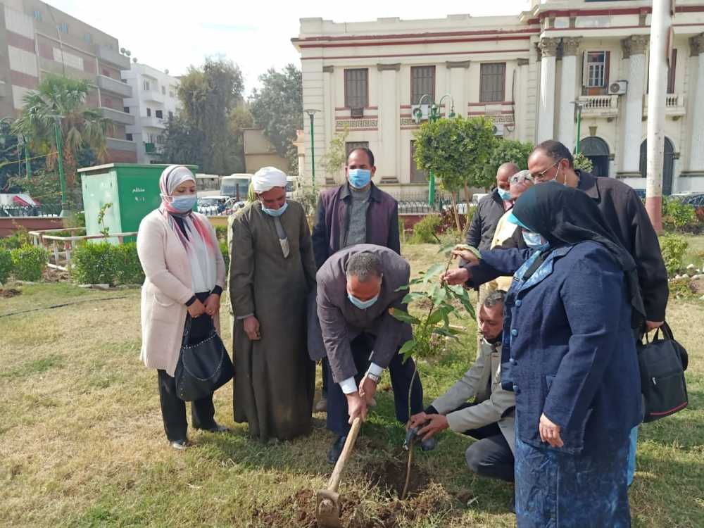 حملة تشجير وغرز شتلات مثمرة بالشوارع والميادين بمحافظة أسيوط 