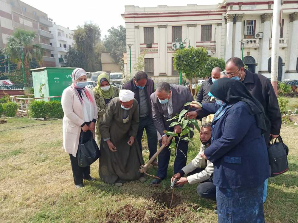 حملة تشجير وغرز شتلات مثمرة بالشوارع والميادين بمحافظة أسيوط 