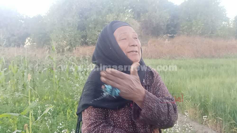 السيدة غنية محمد مصطفى تعمل في الزراعة من 50 عامًا في قنا