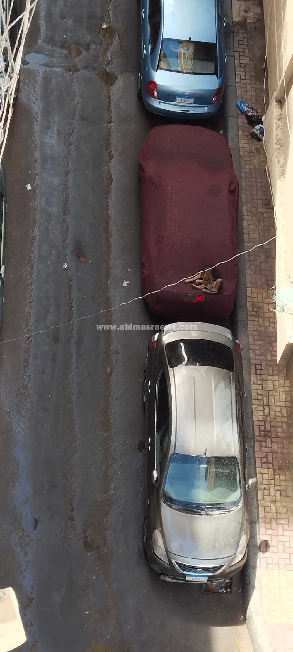 أمطار الإسكندرية أمطار الإسكندرية