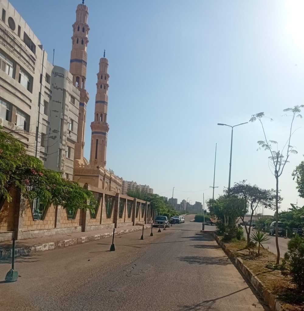 تنظيف شوارع الإسكندرية 